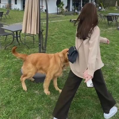 我的特一营